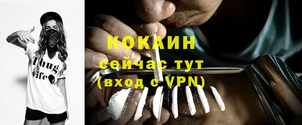 гашик Белоозёрский