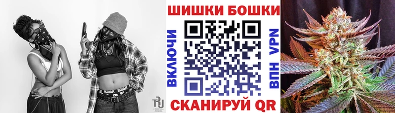 где купить наркоту  Медногорск  Бошки марихуана сатива 